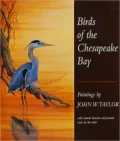 Birds of the Chesapeake Bay : Paintings by John W. Taylor, with Natural Histories and Journal Notes by the Artist