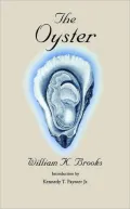 The Oyster