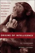 Origins of Intelligence: The Evolution of Cognitive Development in Monkeys, Apes, and Humans