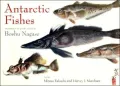 Antarctic Fishes