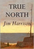 True North