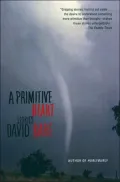 Primitive Heart: Stories