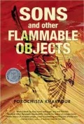 Sons and Other Flammable Objects