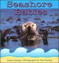 Seashore Babies