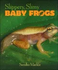 Slippery, Slimy Baby Frogs