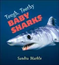 Tough, Toothy Baby Sharks