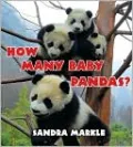 How Many Baby Pandas?