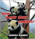 How Many Baby Pandas?