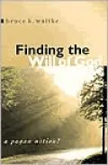 Finding the Will of God: A Pagan Notion?