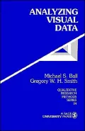 Analyzing Visual Data, Vol. 24