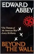 Beyond the Wall: Essays from the Outside