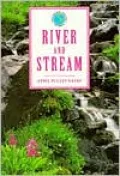River and Stream