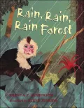 Rain Rain Forest