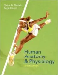 Human Anatomy & Physiology: 9-System Suite