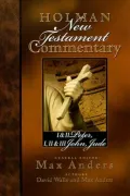 1 and 2 Peter, 1 2 and 3 John and Jude: Holman New Testament Commentary, Vol. 11