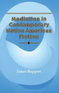 Mediation in contemporary Native American fiction