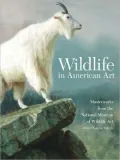 Wildlife in American Art: Selections from the National Museum of Wildlife Art