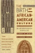 Birth of African-American Culture: An Anthropological Perspective