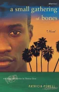 A Small Gathering of Bones