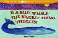 Is a Blue Whale the Biggest Thing There Is?