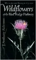 Wildflowers of the Blue Ridge Parkway