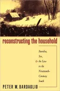Reconstructing the Household: Families, Sex, and the Law in the Nineteenth-Century South