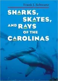 Sharks, Skates, and Rays of the Carolinas