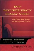 How Psychotherapy Really Works