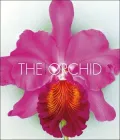 Orchid