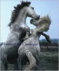 Horses of the Camargue