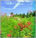 Country Gardening: Design Ideas and a Practical Guide