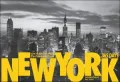 New York: 365 Days