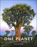 One planet