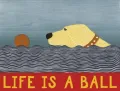 Life is a Ball