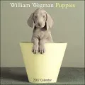 William Wegman Puppies 2007 Calendar
