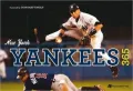 New York Yankees 365