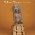William Wegman Puppies 2008 Calendar