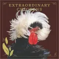 2011 Extraordinary Chickens Wall Calendar