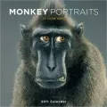 2011 Monkey Portraits Wall Calendar