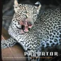 Predator: Life and Death in the African Bush