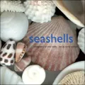 Seashells