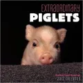 Extraordinary Piglets 2012 Mini Wall Calendar