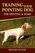 Training Your Pointing Dog for Hunting and Home