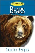 Bears: Wild Guide