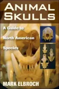 Animal Skulls