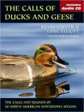 Calls of Ducks and Geese