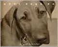 What Dogs Do