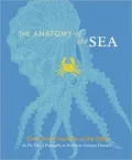 The Anatomy of the Sea