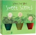 Sprout Your Own Sweet Scents: Complete Mini Garden Kit with Seeds, Peat Pellets, and Planters