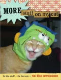 More Stuff on My Cat